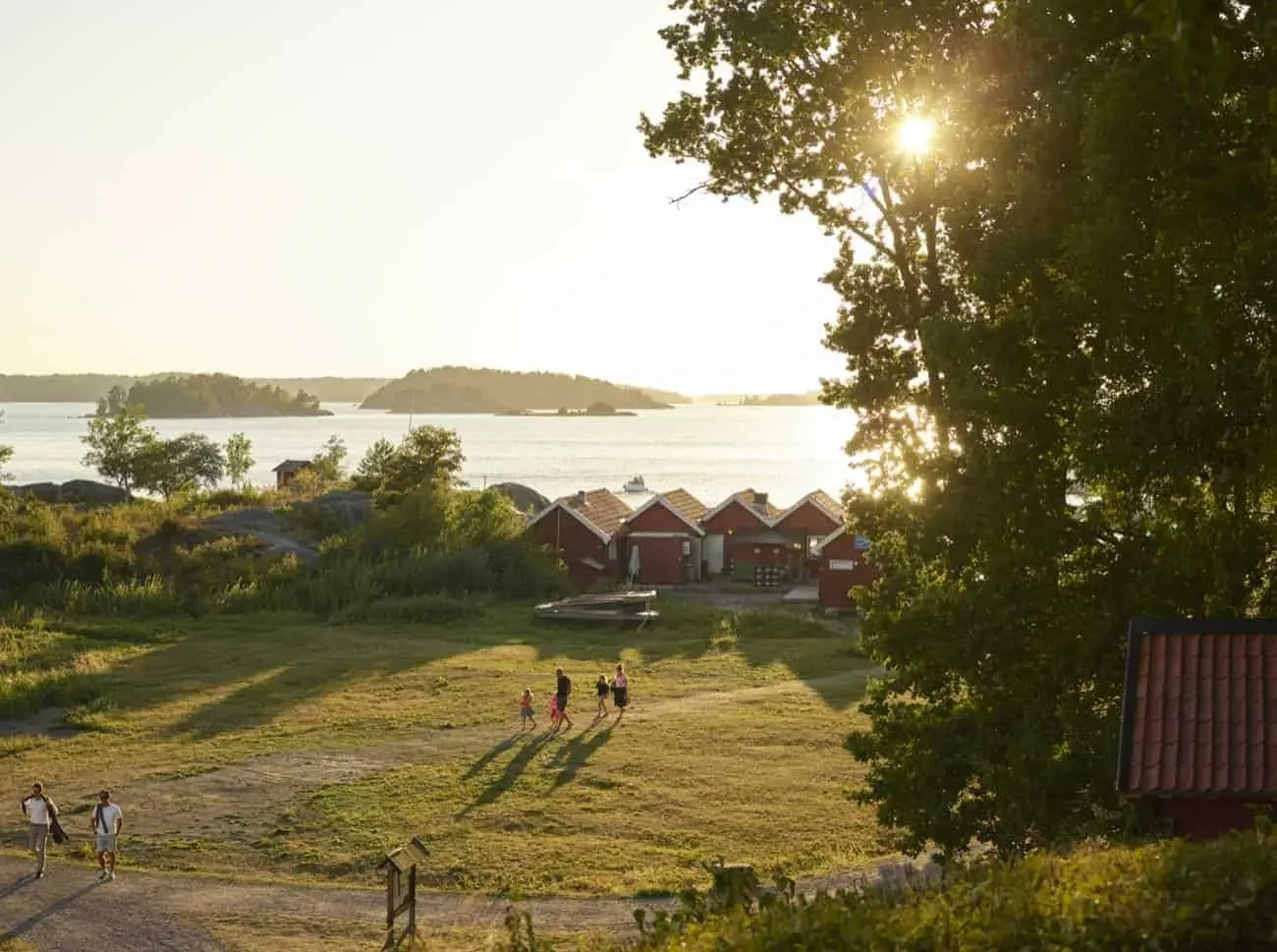 Cycling in Sweden: 6 Self-Guided Routes | 2026 Guide
