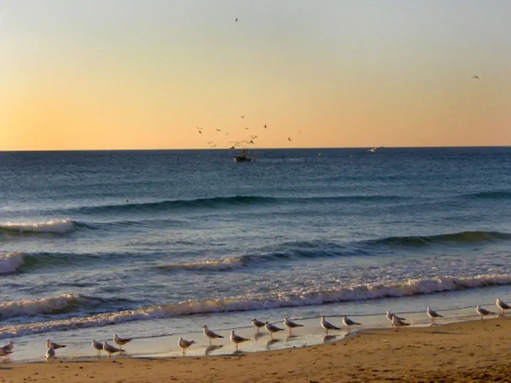 The Scent of the Sea: Nice – Genoa by Bike Illustrative image, AI-generated or AI-modified: The Scent of the Sea: Nice – Genoa by Bike