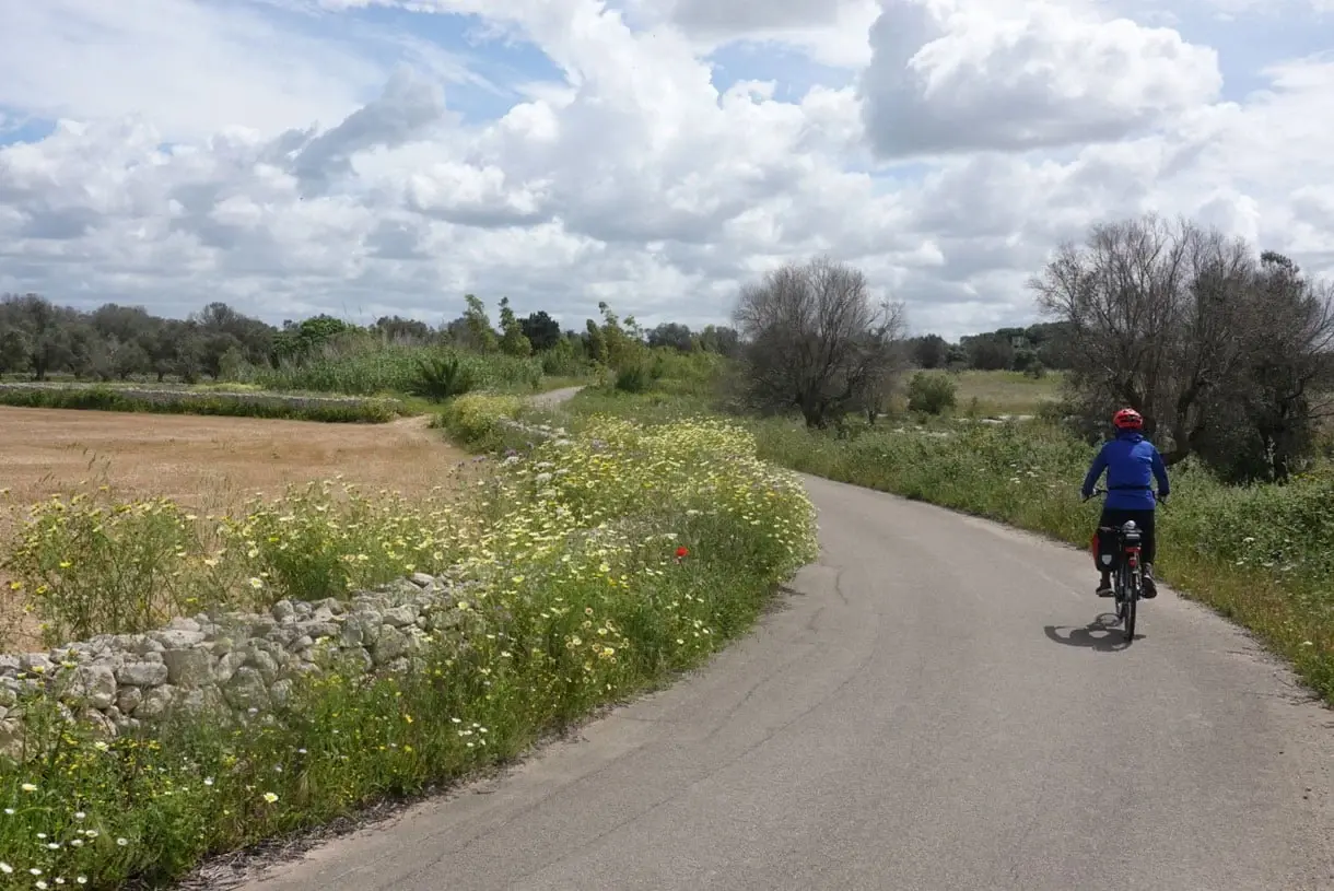 Tour of Salento Illustrative image, AI-generated or AI-modified: Tour of Salento