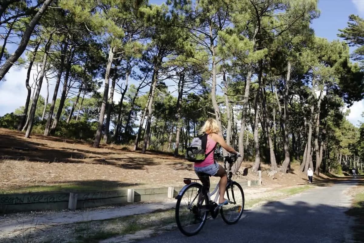 Vélodyssée by Bike: Bordeaux to Biarritz Illustrative image, AI-generated or AI-modified: Vélodyssée by Bike: Bordeaux to Biarritz