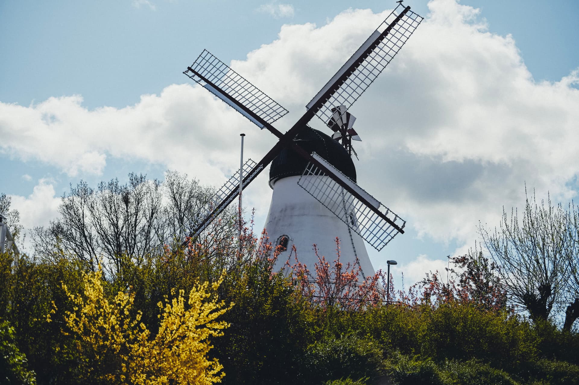 Visit the Vikings - Fjords, Culture, and History visit-the-vikings-fjords-culture-and-history