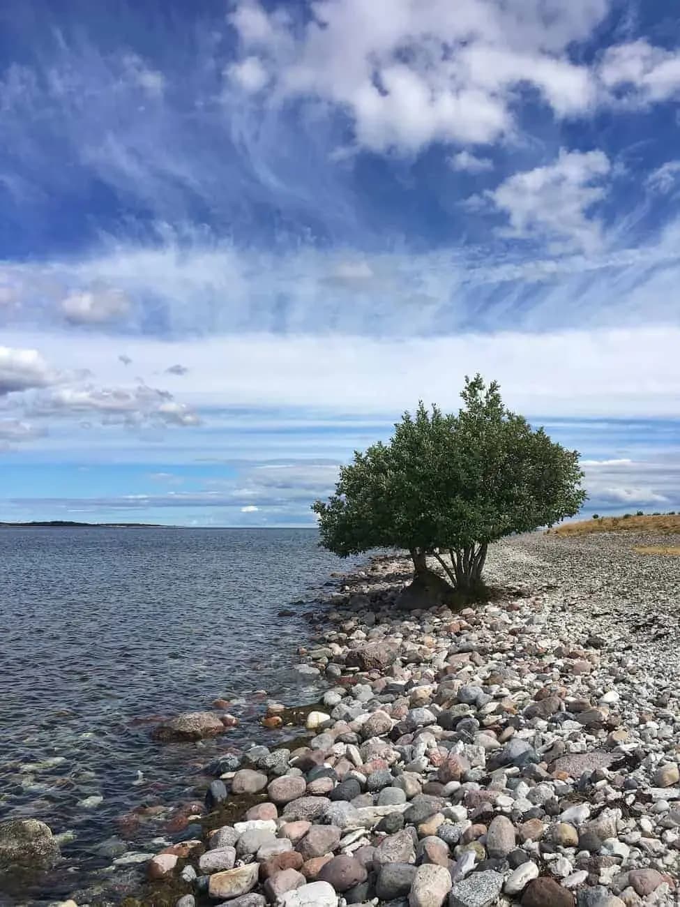 Visit the Vikings - Fjords, Culture, and History Illustrative image, AI-generated or AI-modified: Visit the Vikings - Fjords, Culture, and History